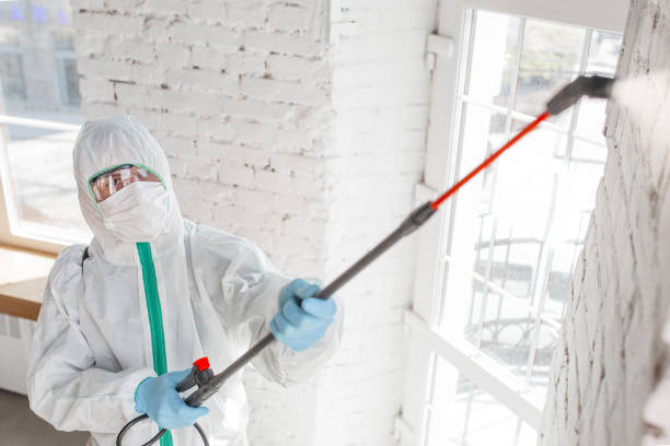 Biohazard Mold Removal in Mont Belvieu, TX