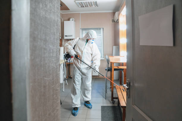 Best Water Damage & Mold Remediation  in Mont Belvieu, TX