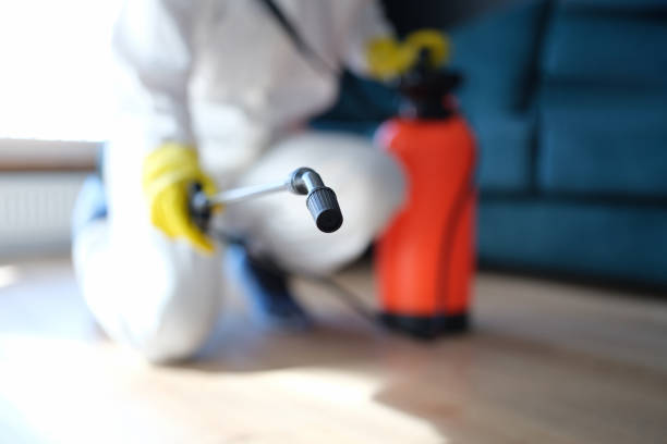 Best Comprehensive Air Testing for Mold Contaminants  in Mont Belvieu, TX