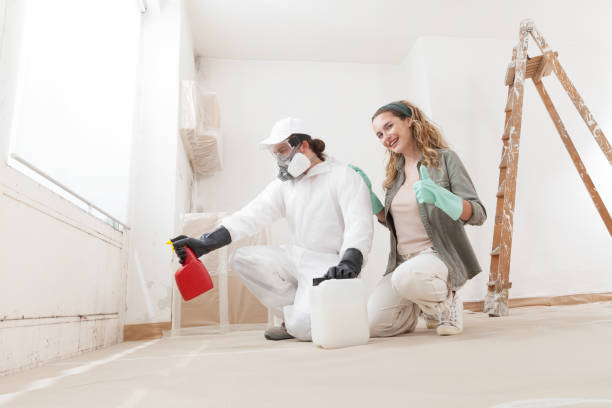 Best Environmental Consulting for Mold Prevention  in Mont Belvieu, TX
