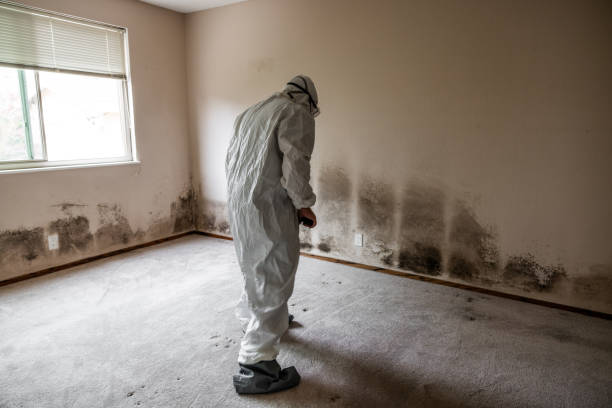 Best Air Quality Testing for Mold Spores  in Mont Belvieu, TX