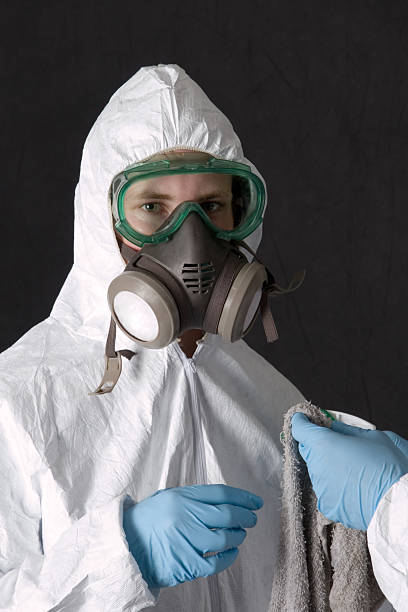 Professional Mold Removal in Mont Belvieu, TX